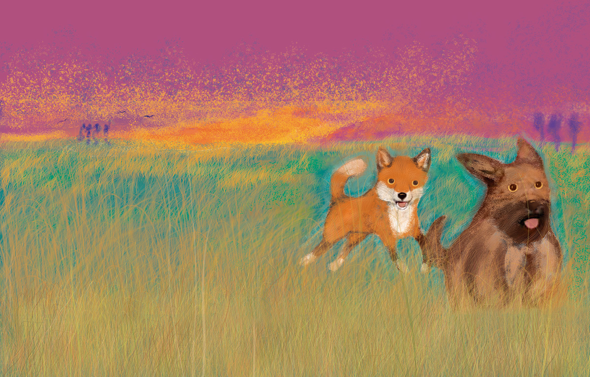 Amalia Low's book, 'Libertad