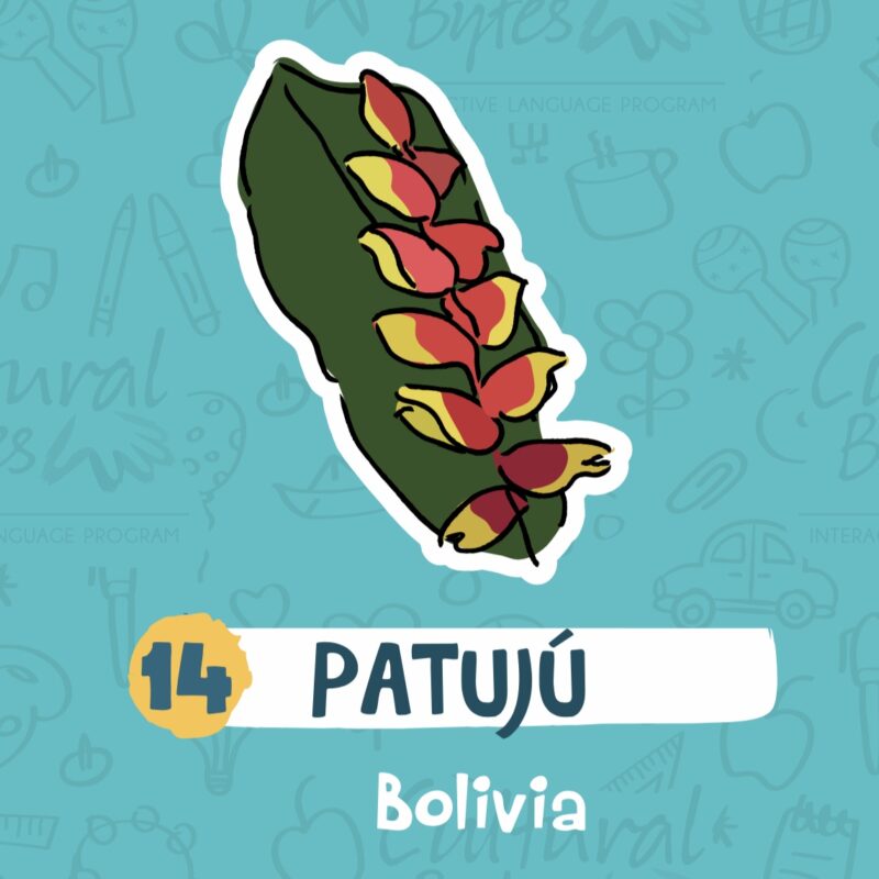 Poster Traditional Hispanic Flowers